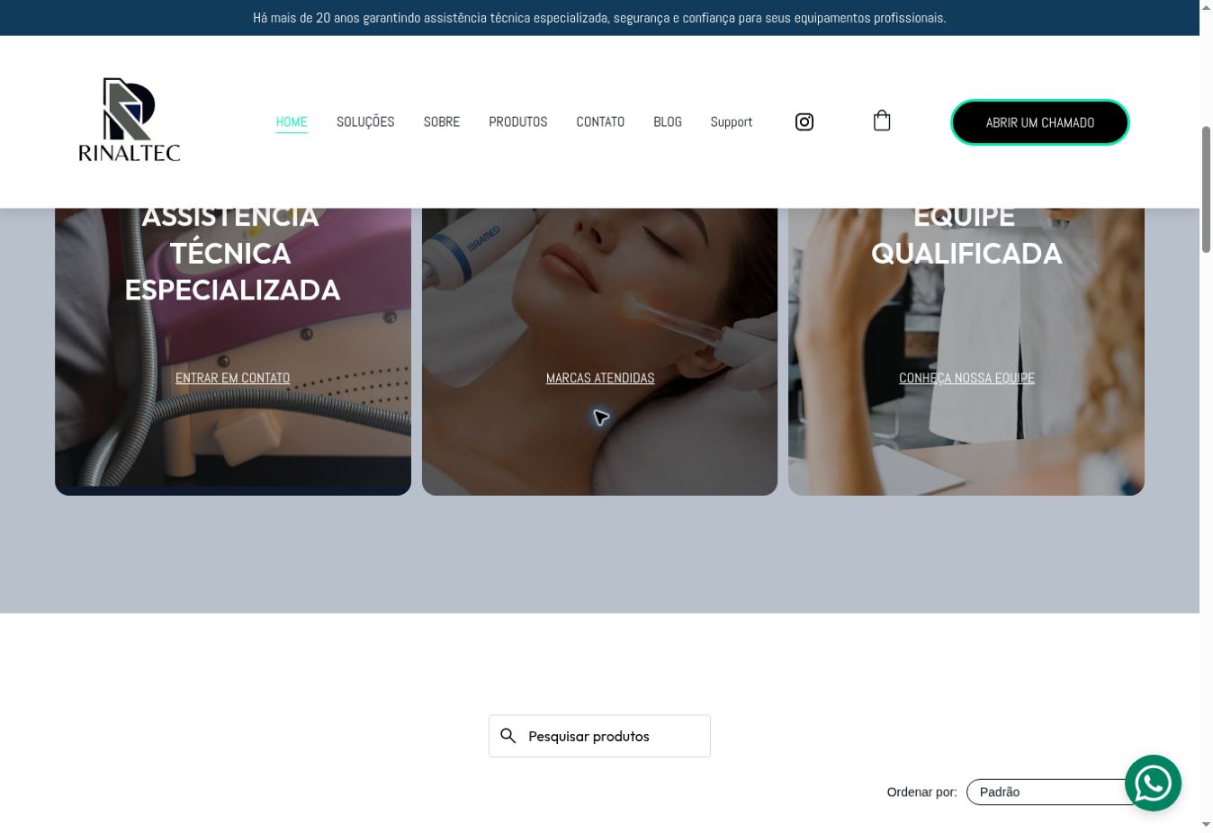 Seção de serviços do site da Rinaltec